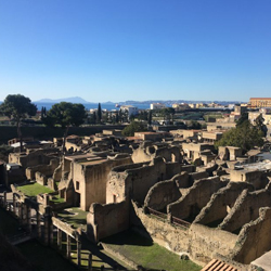 Pompei ed Ercolano: Tour guidato con un archeologo